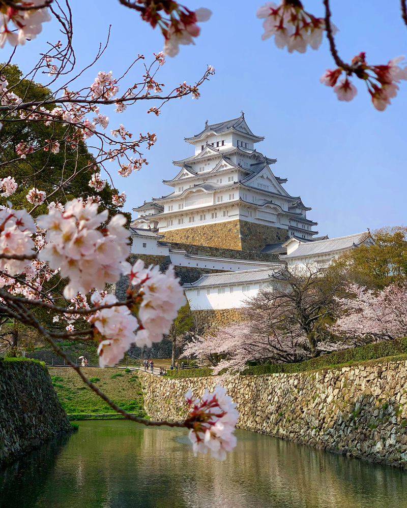 兵庫県 国宝姫路城の桜が見事でした 空 雲好きイラストレーターの一人言